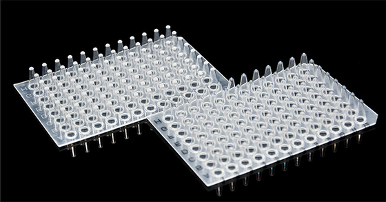 Materiały eksploatacyjne do PCR bez osłony 0,1 ml 96-studzienkowa płytka do PCR do laboratorium